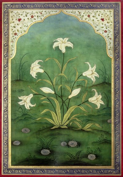 White Lilies by Mark Briscoe